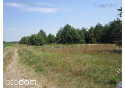 Działka, 32 200 m², Wołomin