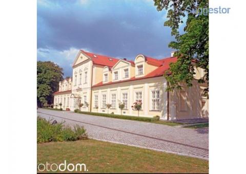 Atrakcyjny pałac - Sokolniki