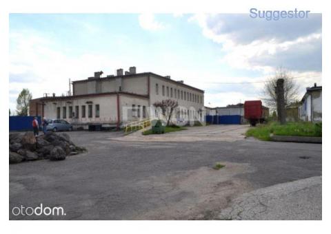 Lokal użytkowy, 1 100 m², Łojki