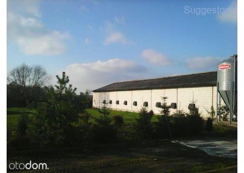 Hala 1200m2+Hala 550m2+ 3,5ha ;FERMA DROBIU