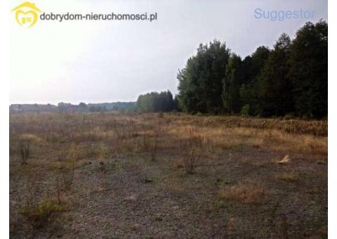 Zalesiany sprzedam, rolna działka