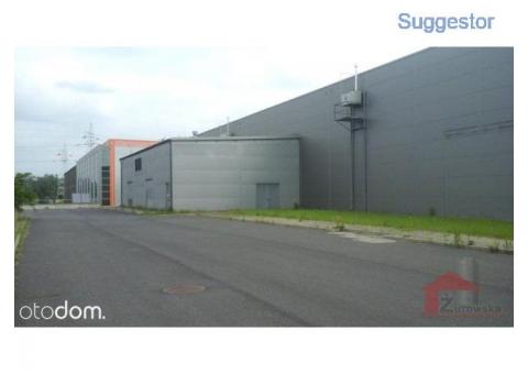 Hala/Magazyn, 22 500 m², Sosnowiec