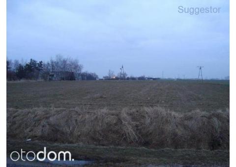Działka, 1 000 000 m², Rumianek