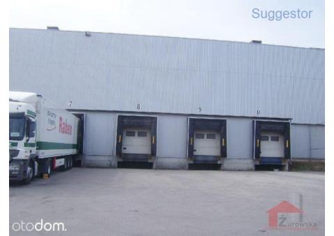 Hala/Magazyn, 25 500 m², Sosnowiec