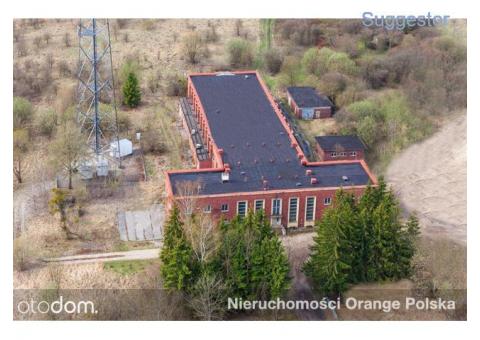 Lokal użytkowy, 3 144 m², Lidzbark Warmiński