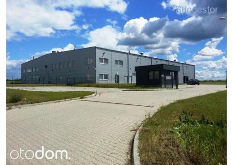 Hala/Magazyn, 3 669 m², Gubin