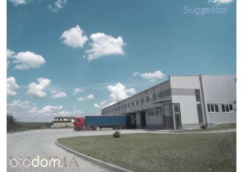 Hala/Magazyn, 4 000 m², Rzeszów