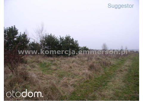 Działka, 40 000 m², Poznań