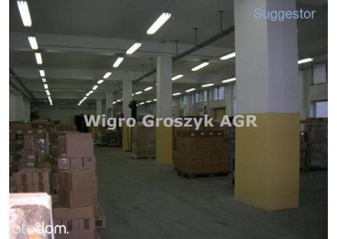 Hala/Magazyn, 1 362 m², Warszawa