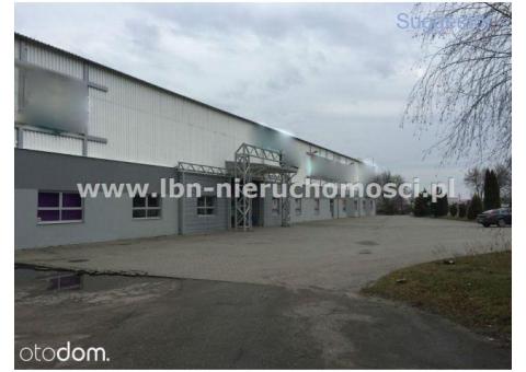 Hala/Magazyn, 4 049 m², Lubartów
