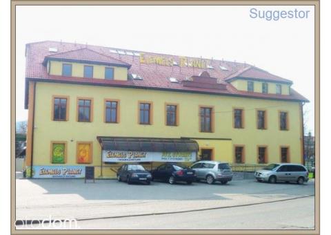 Lokal użytkowy, 1 600 m², Ustroń