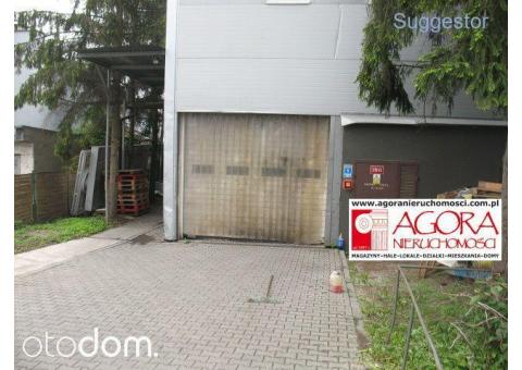 Hala/Magazyn, 3 100 m², Kraków