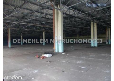 Hala/Magazyn, 22 000 m², Zawiercie