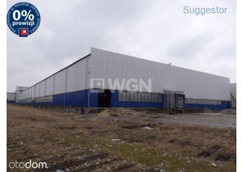 Lokal użytkowy, 13 500 m², Olkusz
