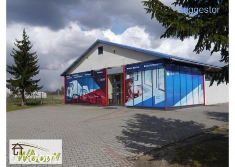 Hala/Magazyn, 1 043,20 m², Ostróda